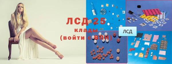 соль ск Ладушкин