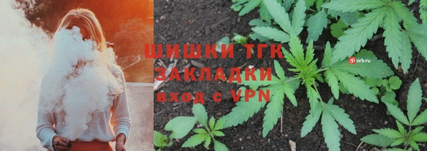 соль ск Ладушкин