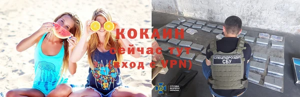 шишки Краснотурьинск
