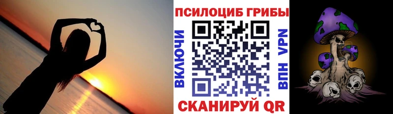 Галлюциногенные грибы Psilocybe  Суздаль 
